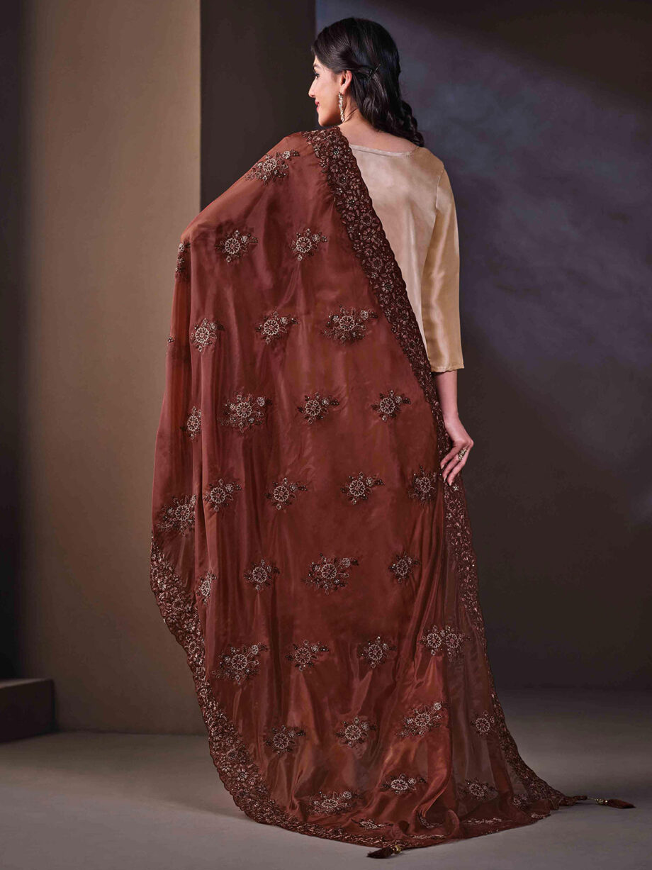 Beige Crystal Organza Embroidered Suit Set